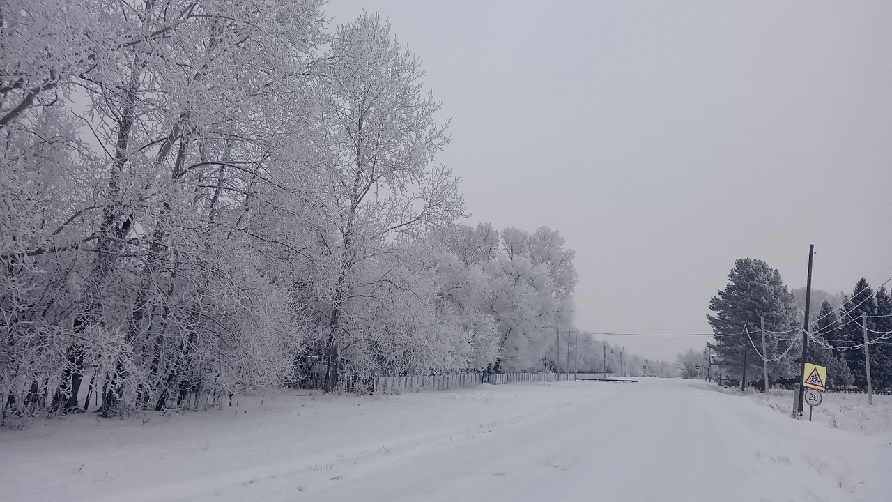 Конкурс фотографий.